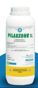 Pilarxone SL